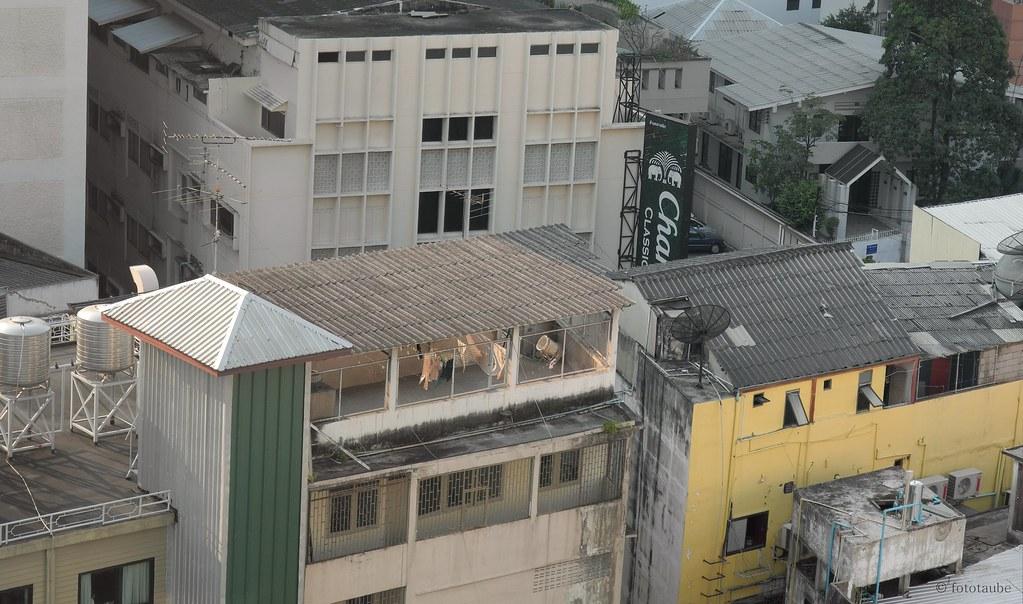 Sukhumvit Referendum on Local Development Levy to Determine 2027 Service Funding Levels