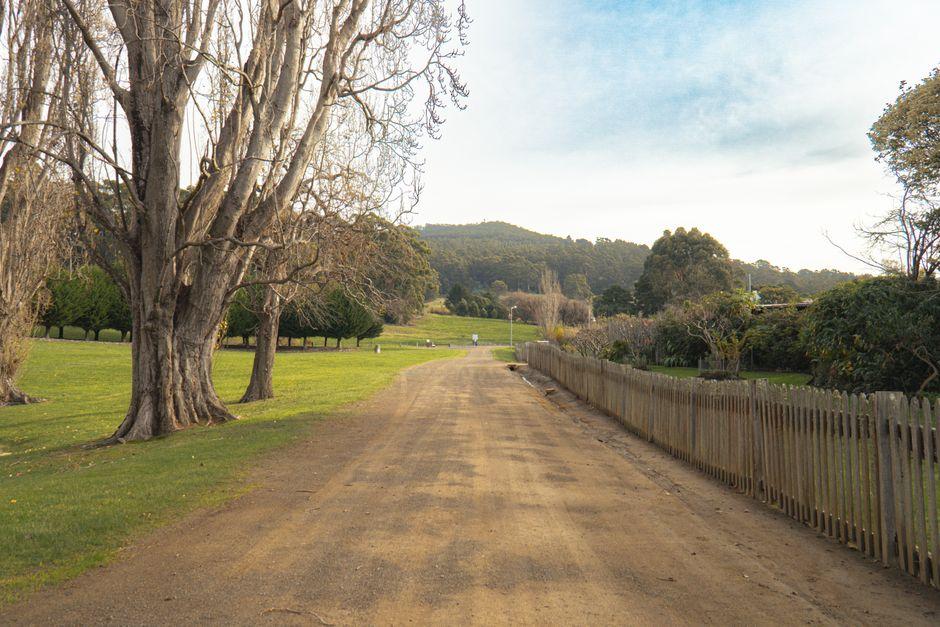 Tranquil Rural Road in Port Arthur Tasmania