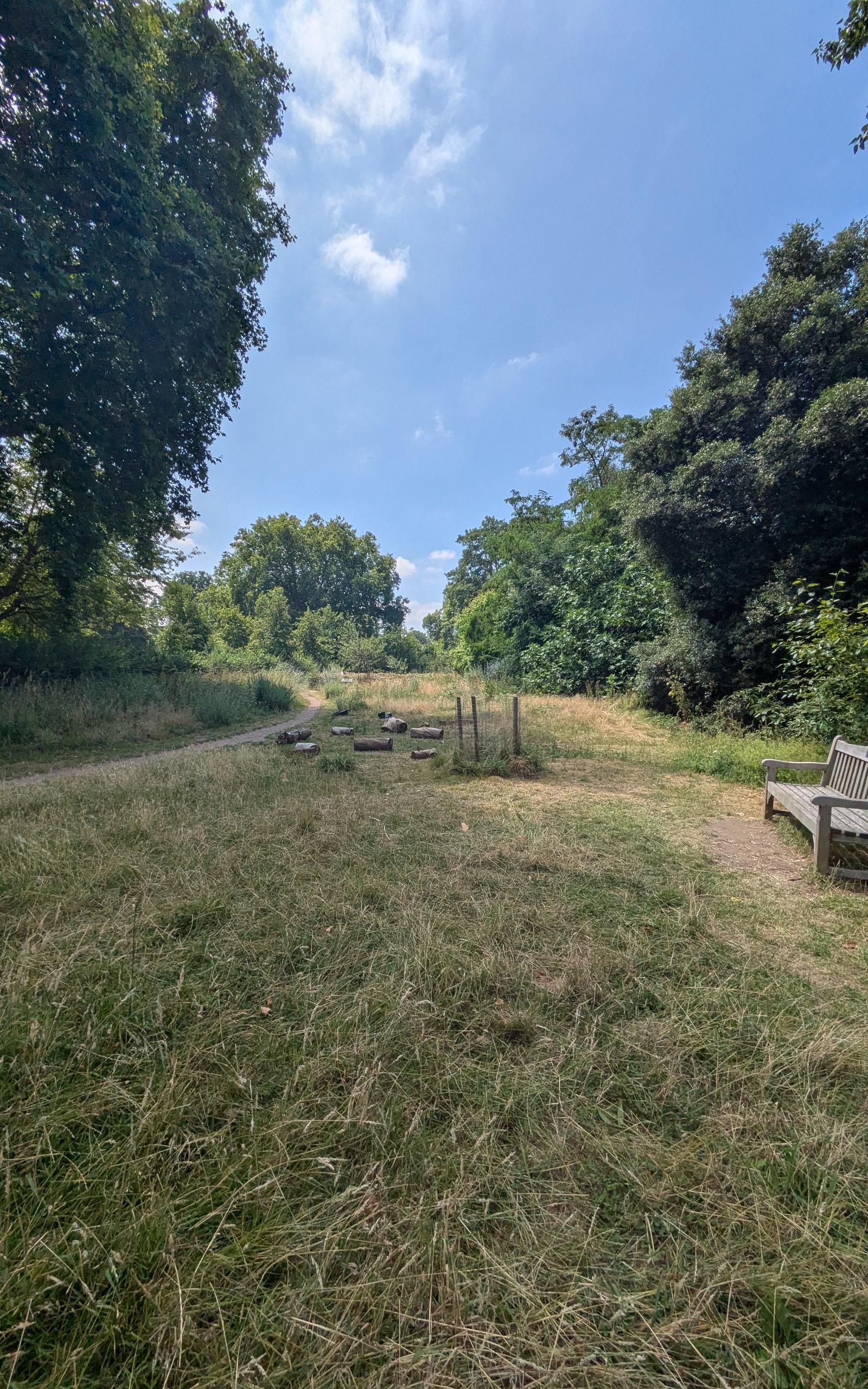 The nature field. 54651276382